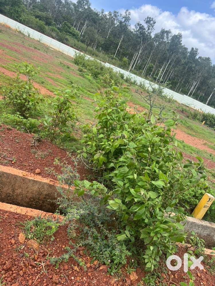 Behind KMF ,near SDM hospital,Walkable distance from H-D main road