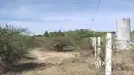 Land & Plot
