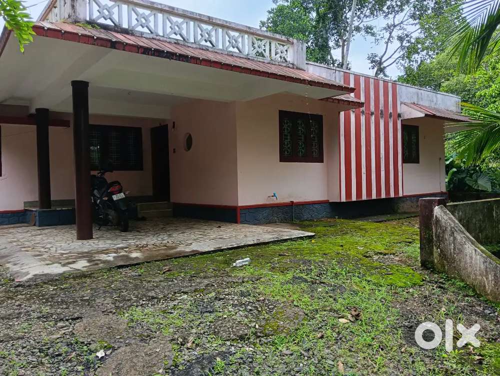 House for rent at koothattukulam.
