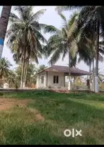 COCONUT FARM LAND FOR SALE
