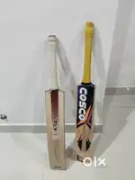 Cricket kit bag