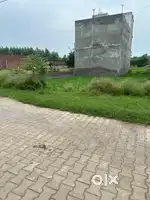 Urgent sell Jhansla, near chitkara Pg&shop plot serius buyer call