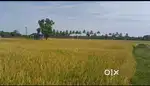 PATTUKKOTTAI