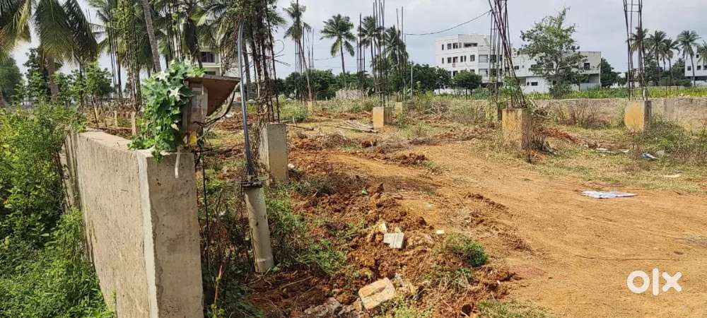 plot for sale 303 sq yards land at near to  tuni