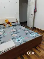 Need a female Roomate