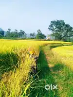 3 acre land for sale