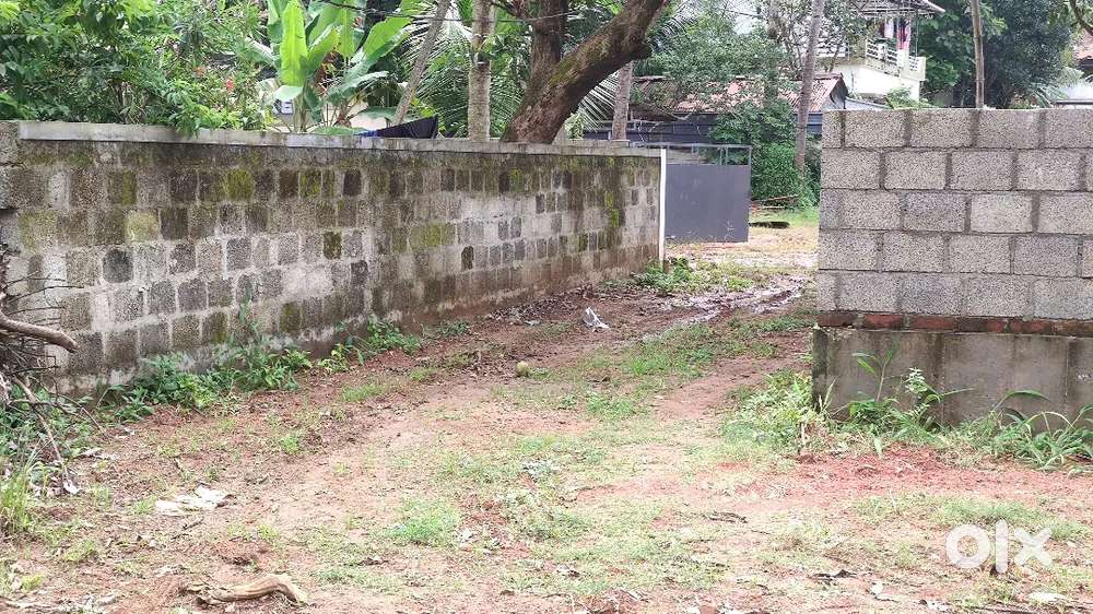 13.5  സെന്റ് വസ്തു വില്പനക്ക്,മുഖത്തല ചേരിക്കോണം