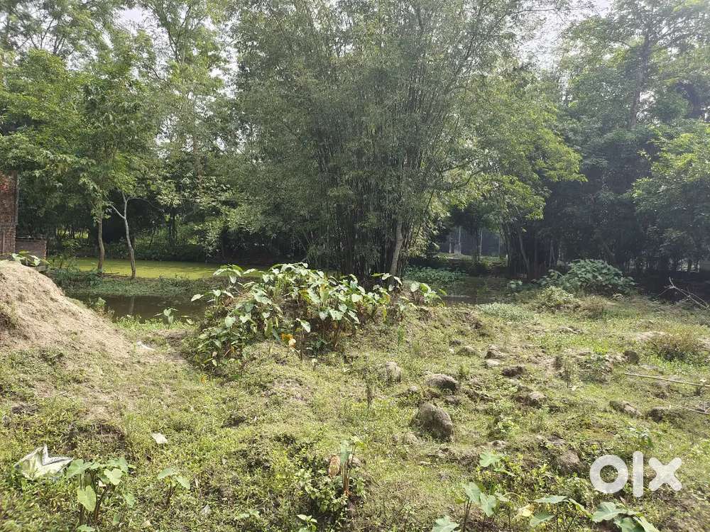 Road side land for sale 3 katha 10 lesa