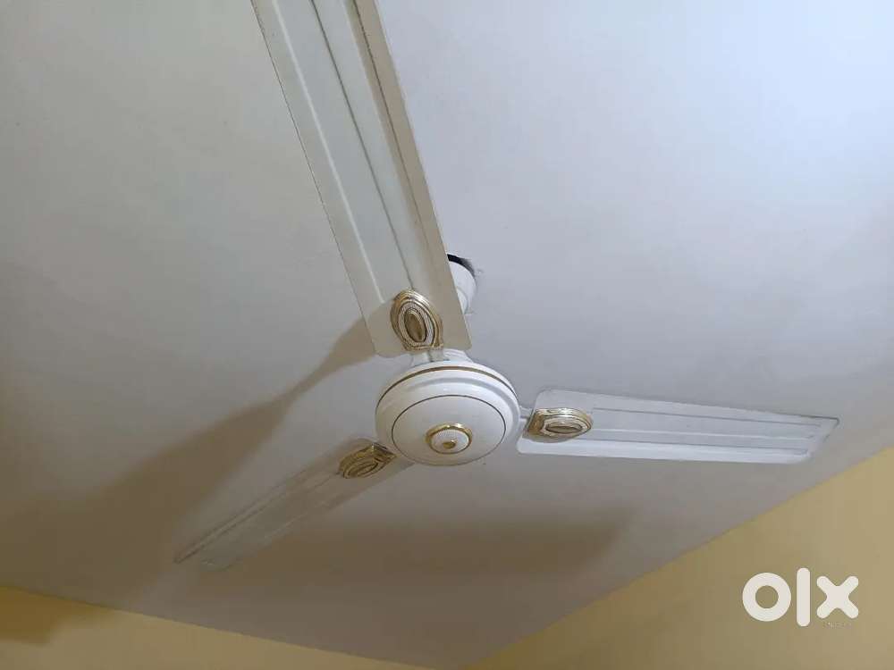 Single Room with attached bathroom, no kitchen for rent in Arekere