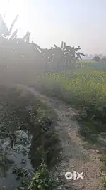 5Katha to 50katha FARMLAND available for sale at Amtala Gabberia