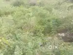Chinnamudaliyar chavadi plot for sale