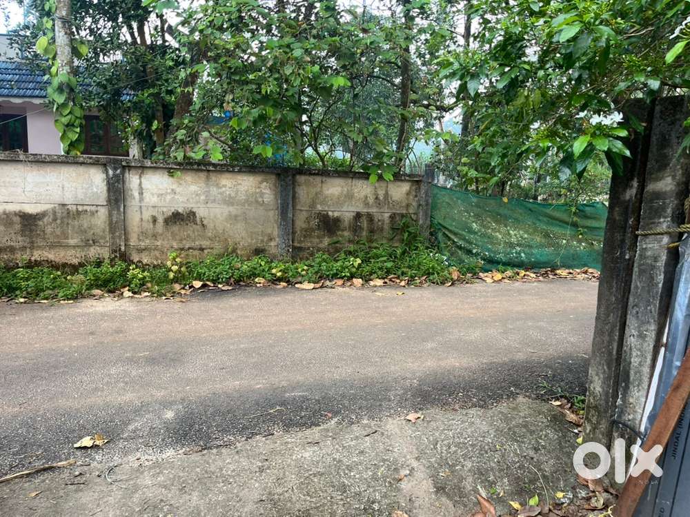 19 cent plot for sale in chemmanathukara,Vaikom