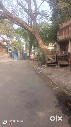 Saltlake sector 1 4.8 katha land with old building for sale