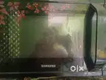 Microwave convection