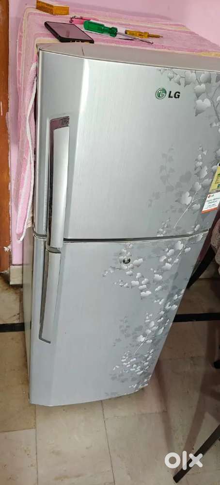 LG Fridge double door