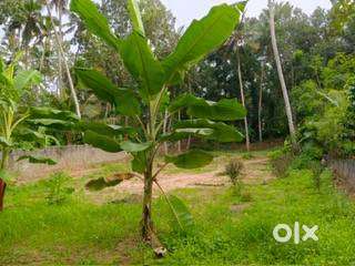 Road frontage 22 cent land suitable for House plots.10minVizhinjam