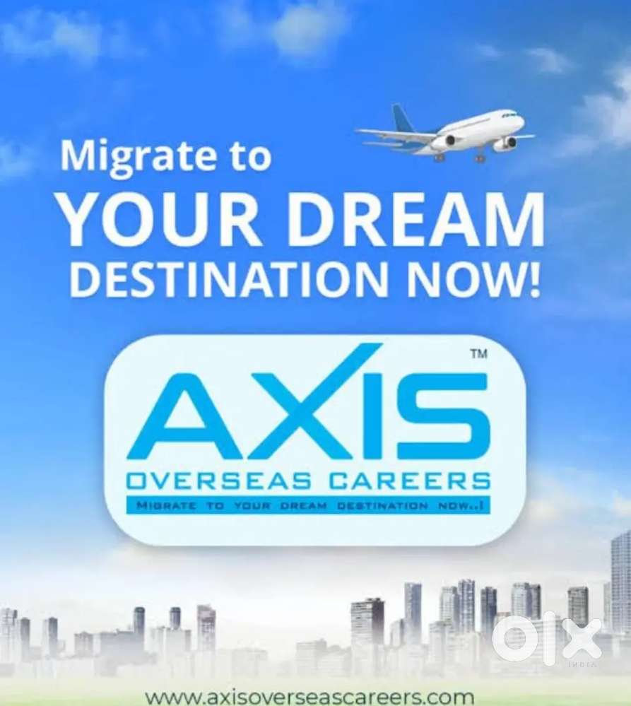 Immigration Consultant