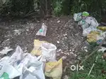 Cement rabbit