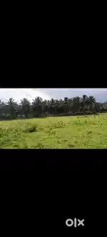 2 acres Empty land