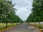 Bhogapuram VMRDA PLOTS