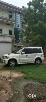 Driver ke liye sampark kare