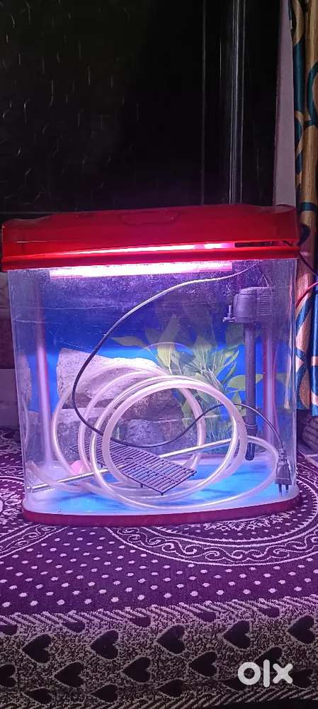 Fish tank good condition