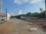 Urgent sell 101 square yard chance ka