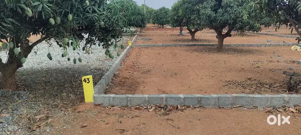 Farm land Villa plots