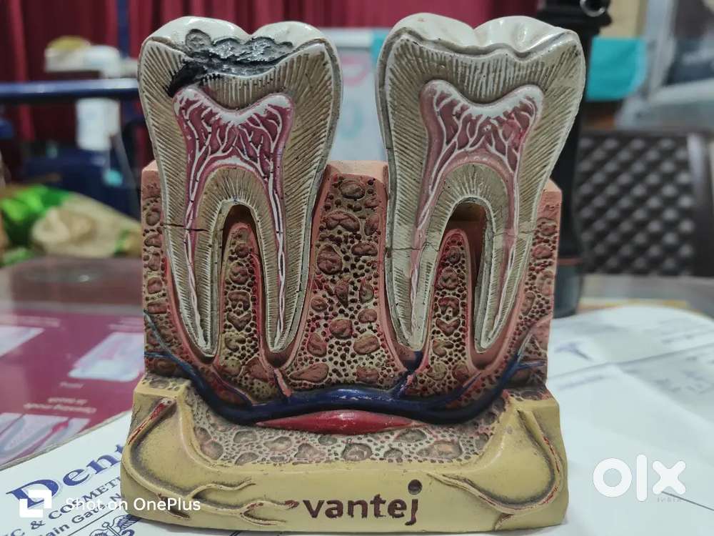 Front office assistant