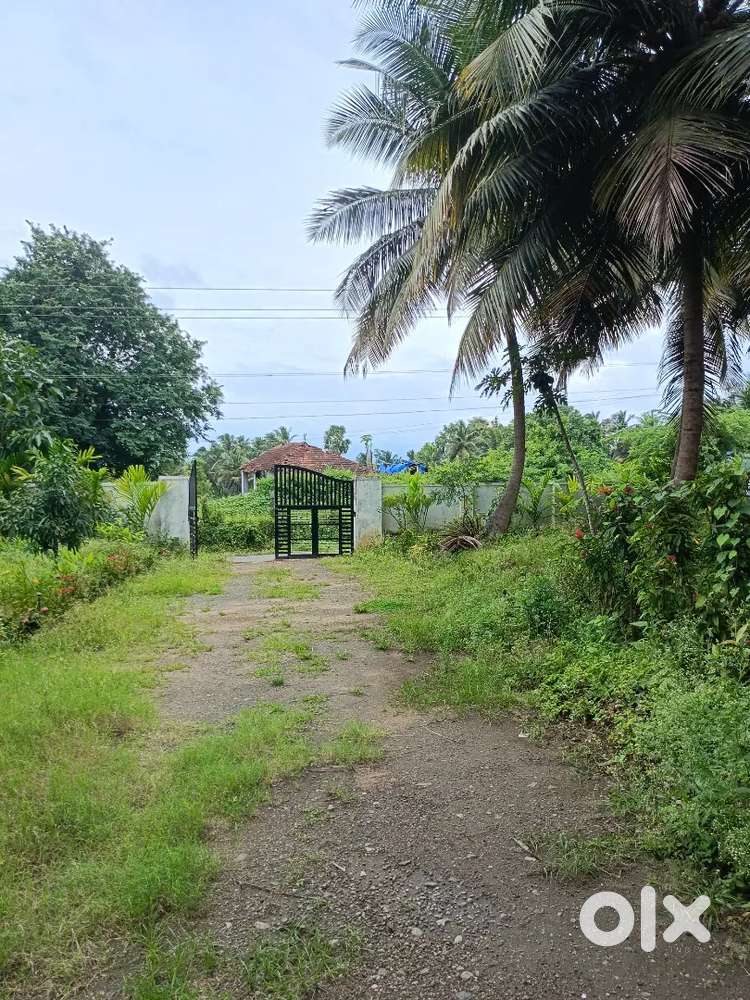 3.20acre coconut thottam for sale Main high way