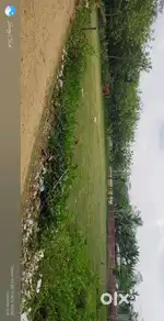 Land for Sale in Barpathar Nepali pathar