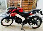 LOOKING FOR A BUYER PULSAR NS160 Dual disc
