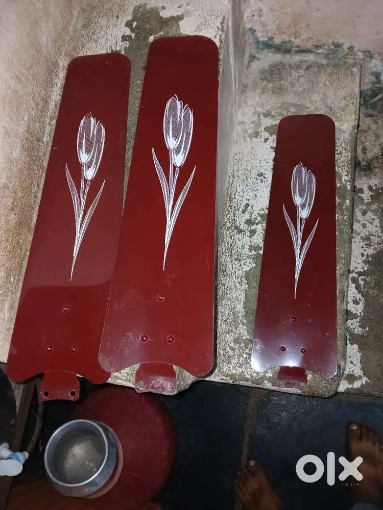 Fan Ganga high speed