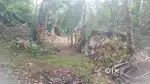 ലാൻഡ് ഫോർ സെയിൽ