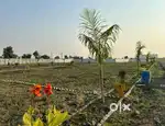 NATP plot  only 11 Lakhs .bank Loan available