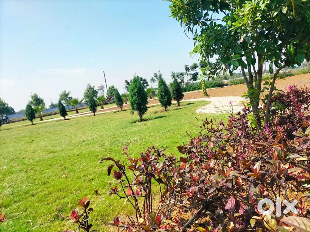 कोलर में भारतमाला रोड के पास डेवलप्ड,प्रीमियम प्लॉट बिक्री करना है।