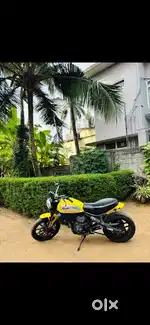 Ducati Scrambler icon 803