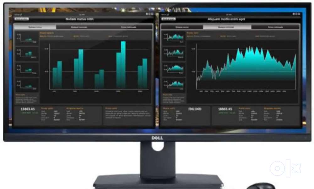 Dell U2913WM 29-inch IPS Monitor Almost All Ports available