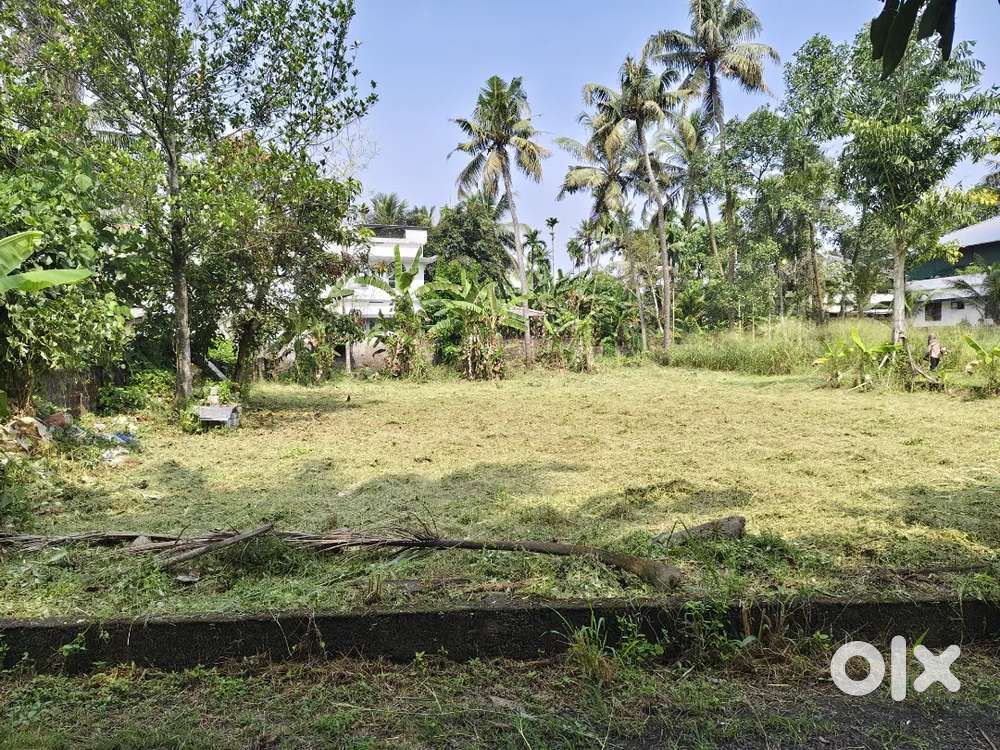 6 cnt plot Kakkanad Kangarappady 9 pr cnt Negotiable