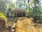 Mattakara.karimpani.10.cent.varkaveedu.38.lakh