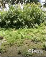 Punjai Land sale,rectangular shape, river water facility.