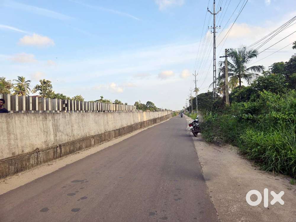 50 Cent Commercial Land for Sale – Near Koonammavu, Varapuzha