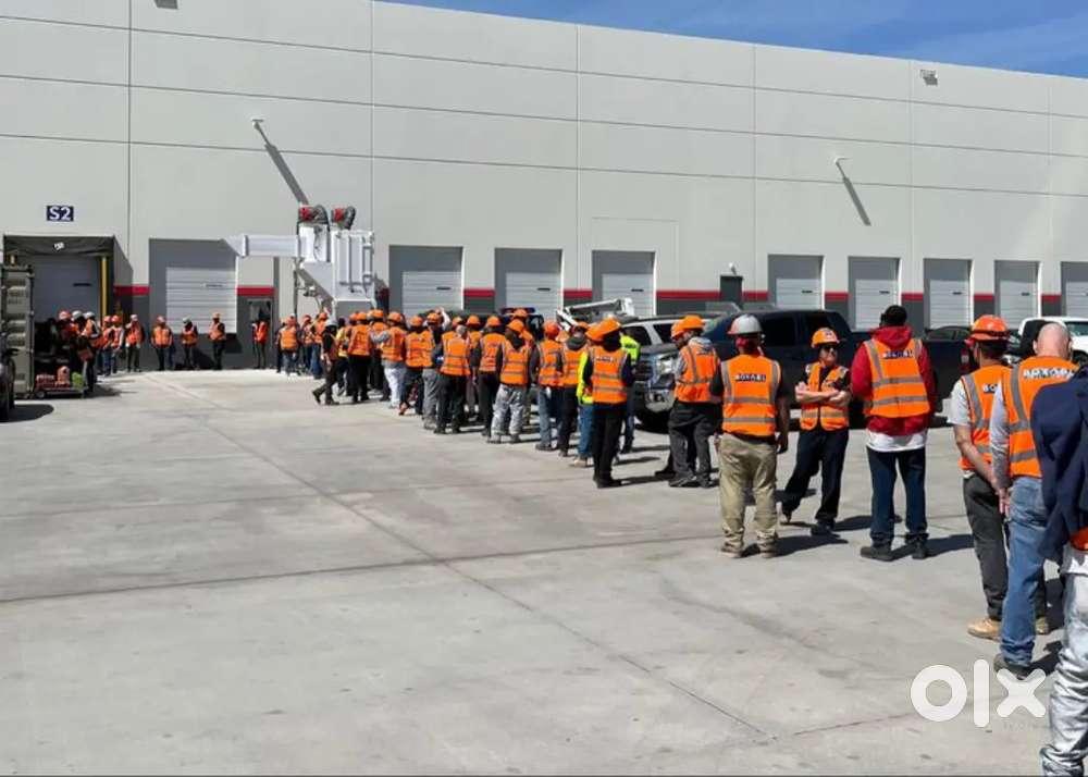 LET'S REEMPLOY THE STAFFS FOR WAREHOUSE