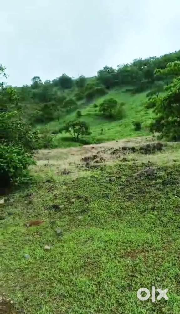 Plot@chogule gardn nr m e s college sancoale