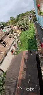 14 lessa of Myadi Land to sell . near Haibargaon Rail Station, Nagaon.