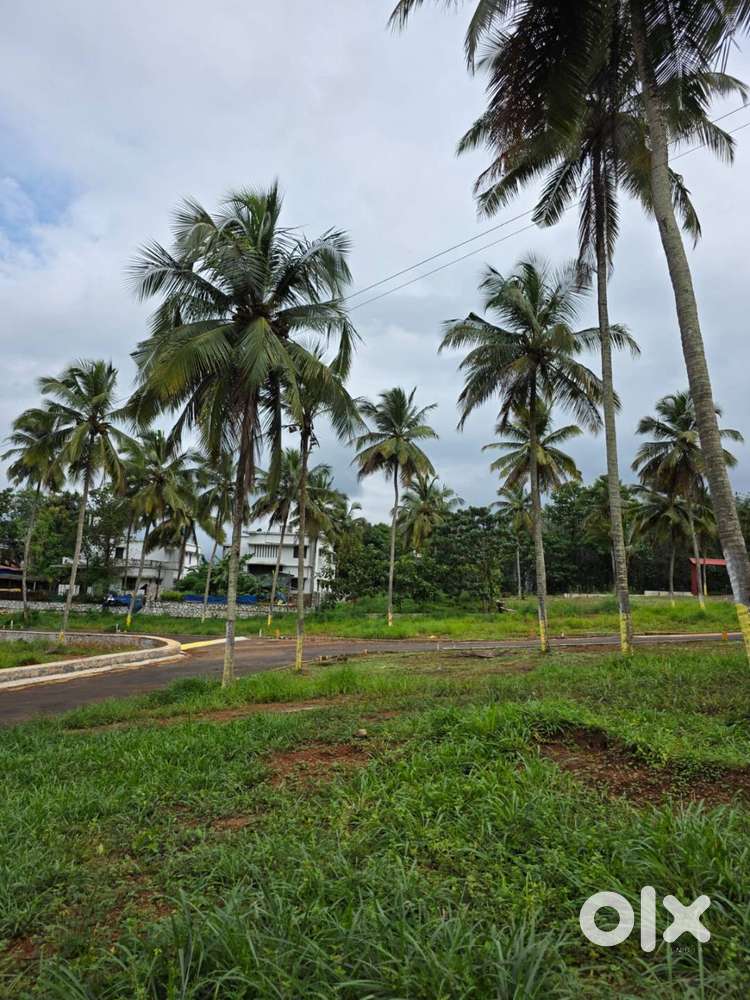 Prime 9-cent home plot available in Viyyakurissi, Palakkad.