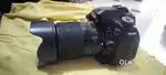 Canon 80 d