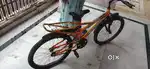 Cruzer bycycle ( 1.5years old)