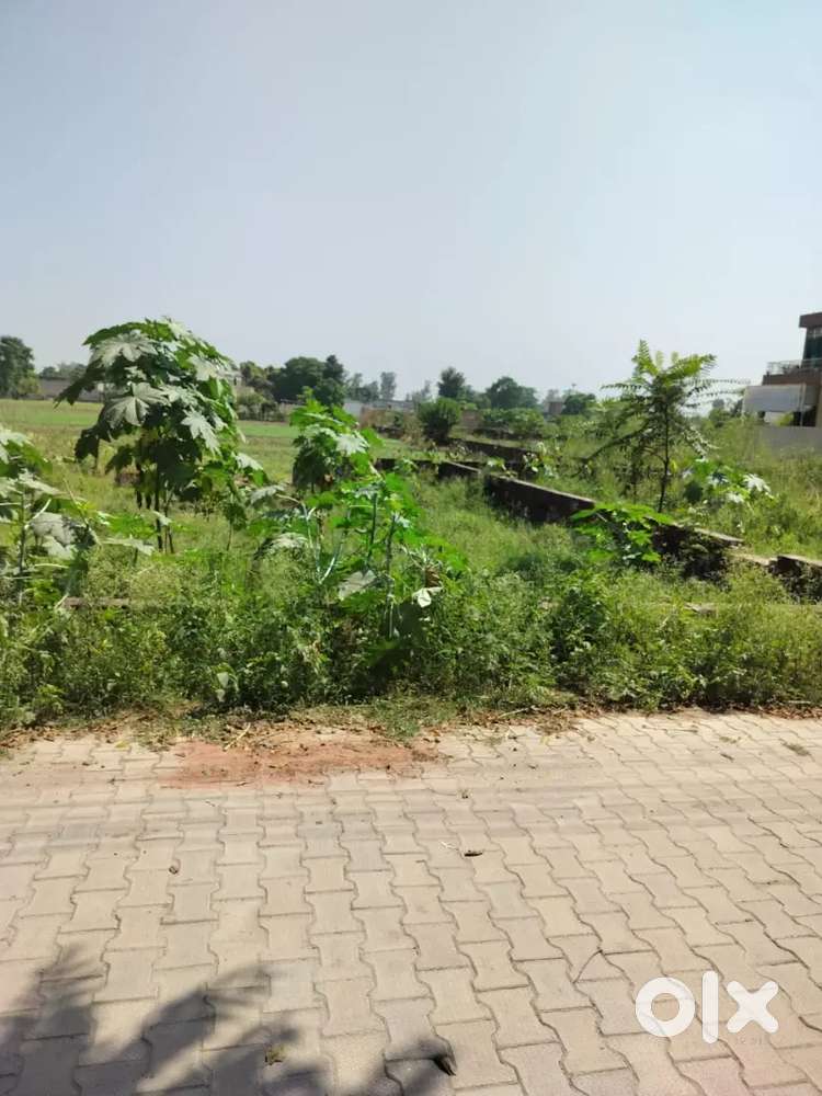 Multiple Properties for Sale – Bassi Pathana (Prime Locations)