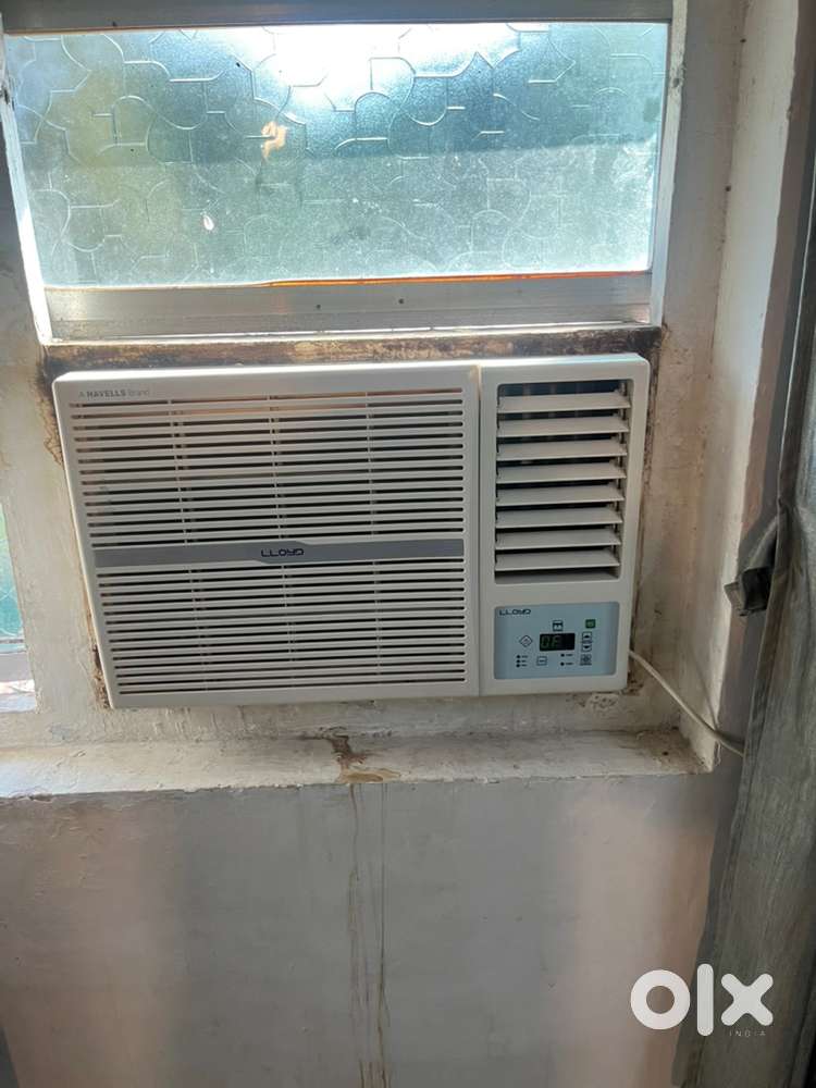 Lloyad window ac